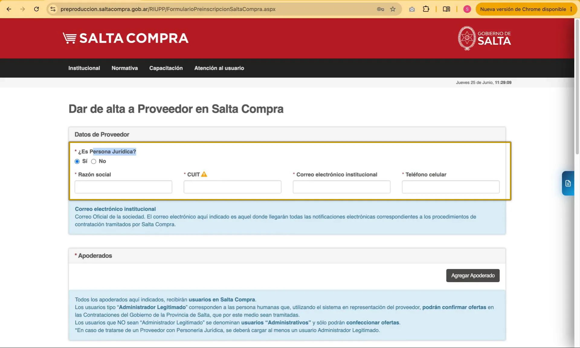 Captura del paso 3: Indicar si es persona jurídica o física