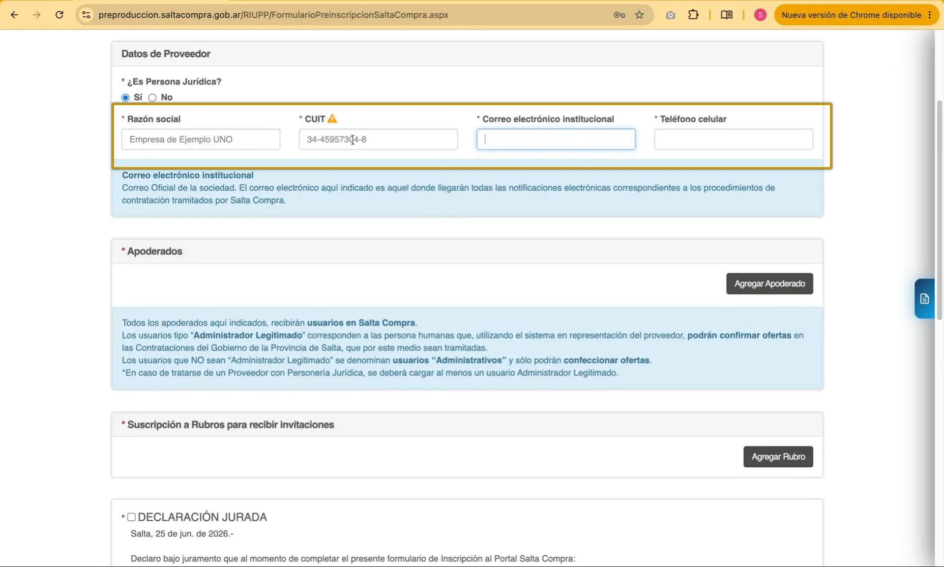 Captura del paso 4: Completar los datos como persona jurídica