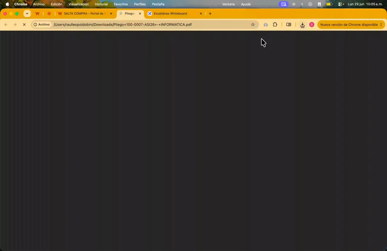 Captura del paso 5: Descargar y leer el pliego de condiciones particulares