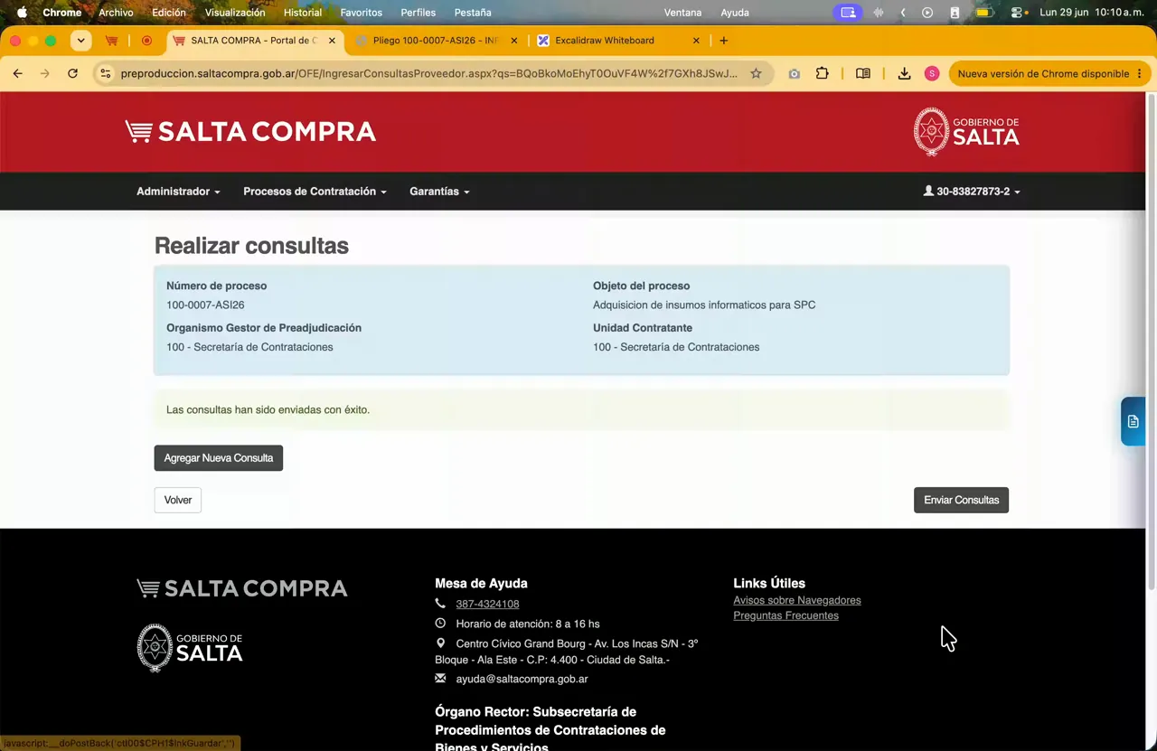Captura del paso 10: Ingresar una consulta al organismo